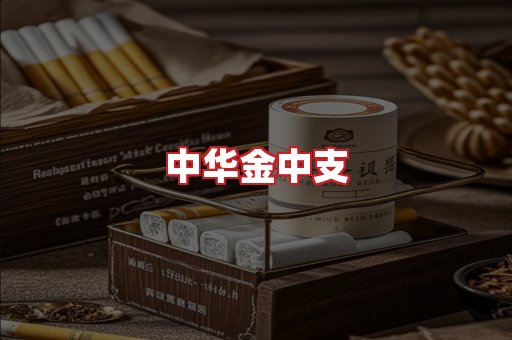 中华金中支